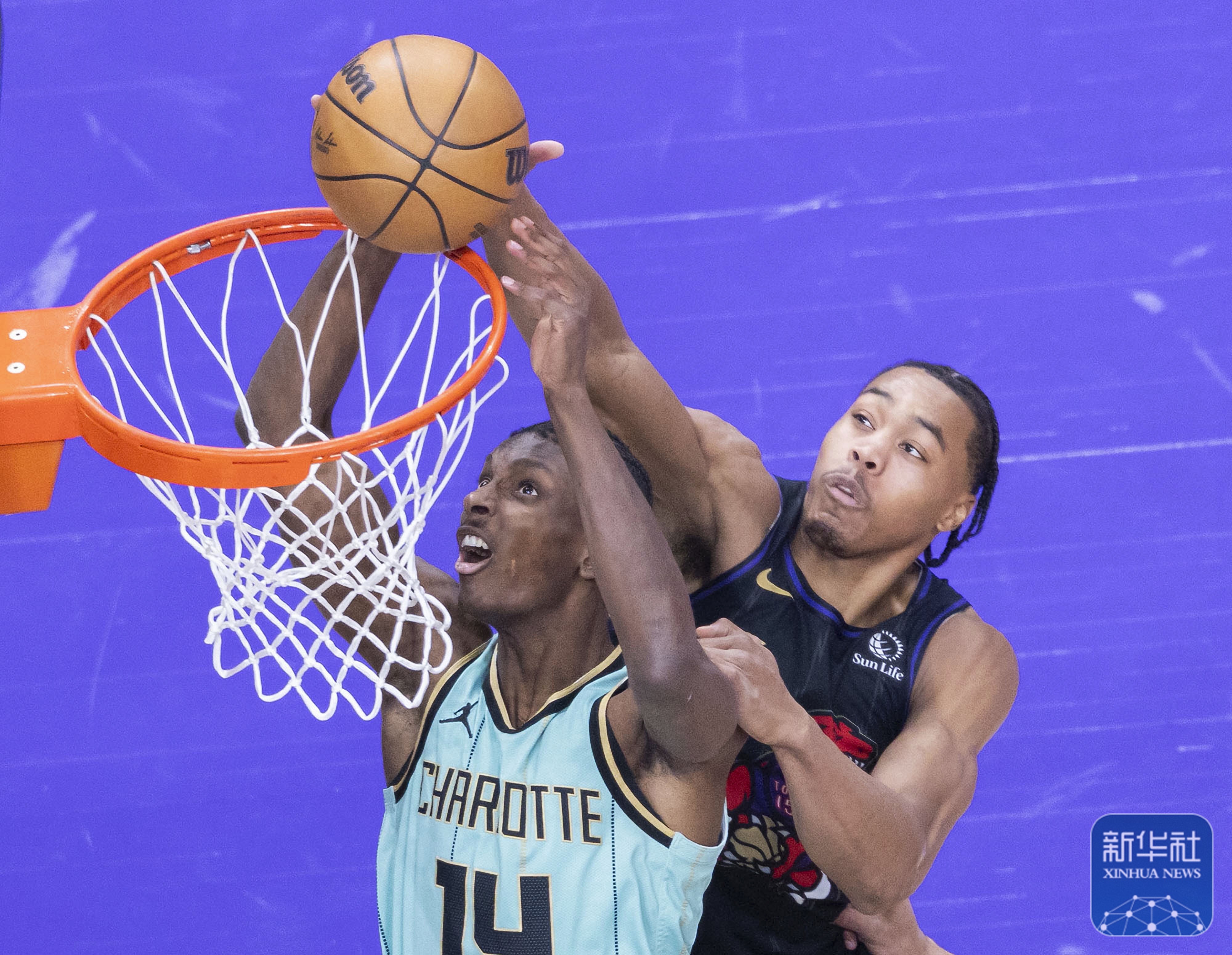 猛龙队表现出色，球迷热情支持无限